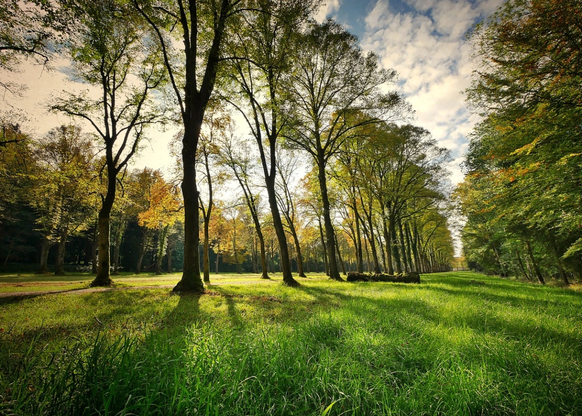 Ponad 5 mln zł na ochronę parków krajobrazowych w Łódzkiem