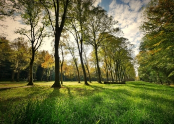 Ponad 5 mln zł na ochronę parków krajobrazowych w Łódzkiem