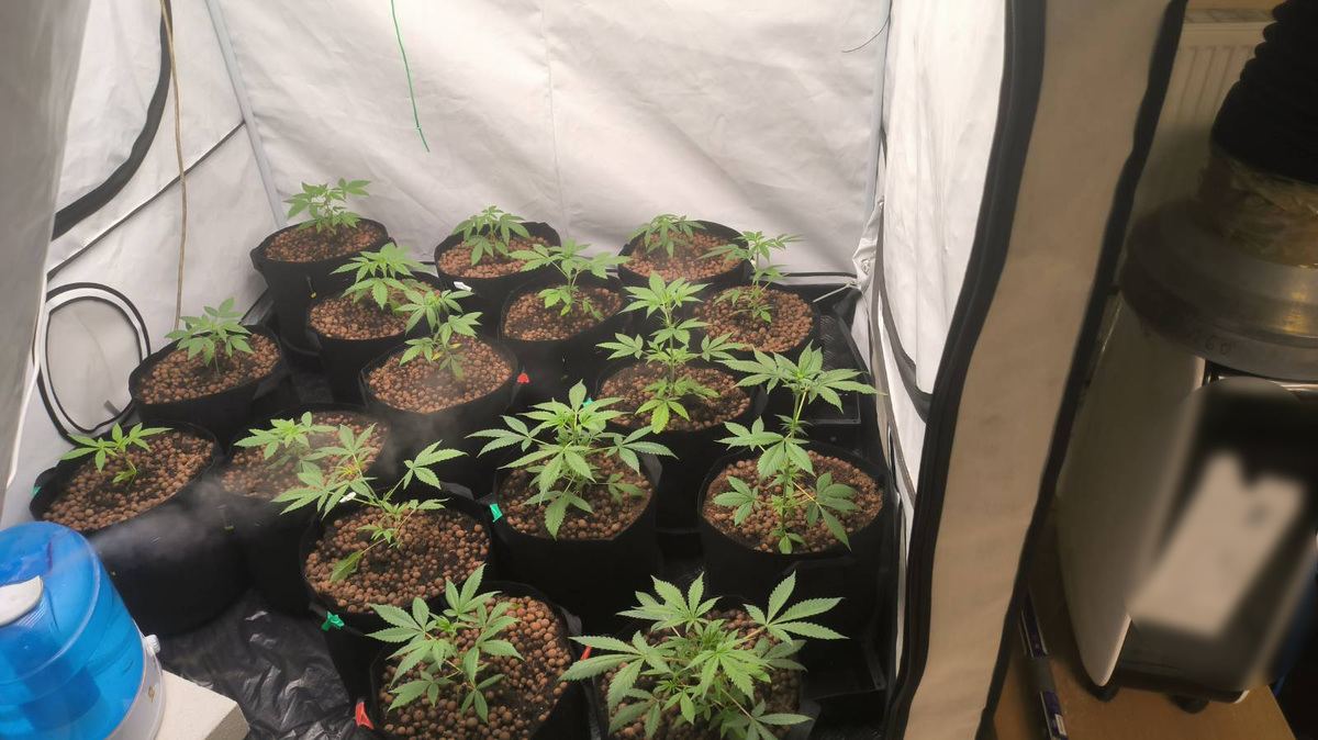 39-latek posiadał prawie 10 kg narkotyków. Grozi mu nawet 20 lat pozbawienia wolności 2 39-latek posiadał prawie 10 kg narkotyków. Grozi mu nawet 20 lat pozbawienia wolności