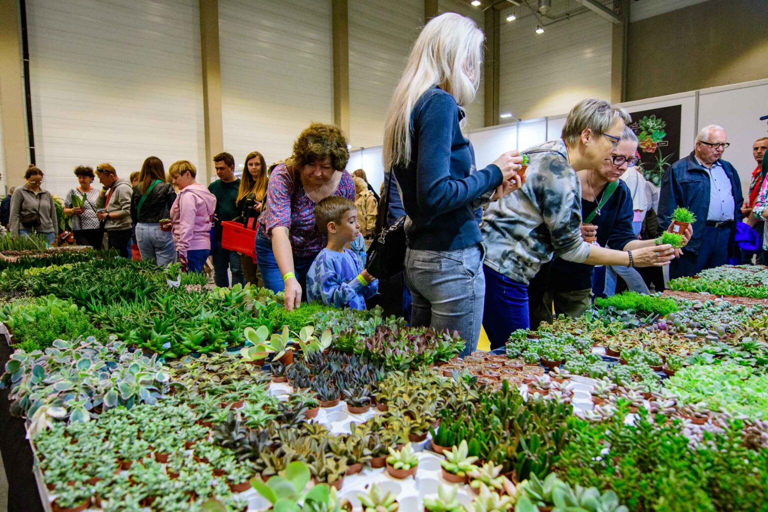 Festiwal roslin w hali EXPO Fot Sebastian Szwajkowski 4