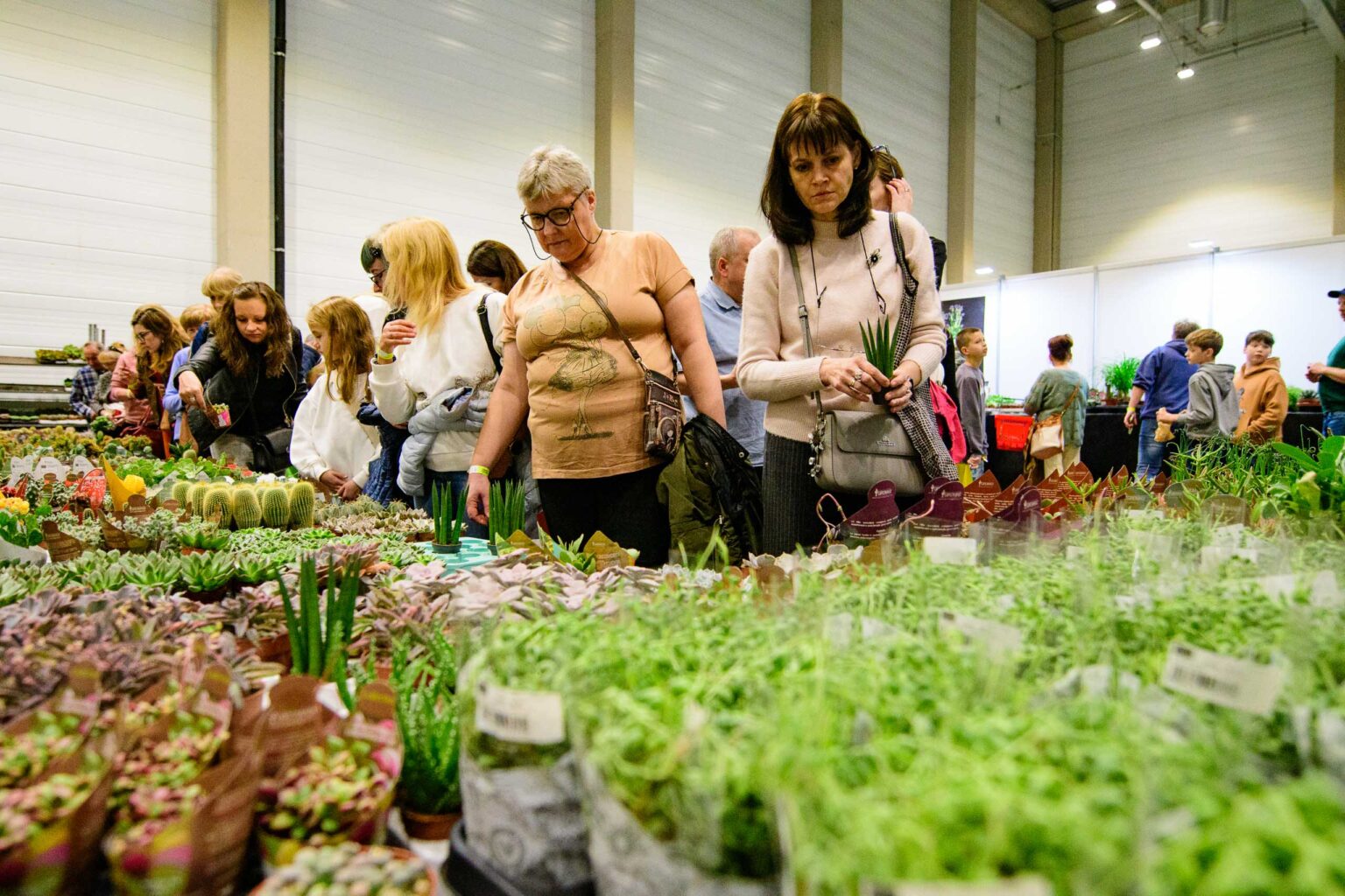 Festiwal roslin w hali EXPO Fot Sebastian Szwajkowski 5