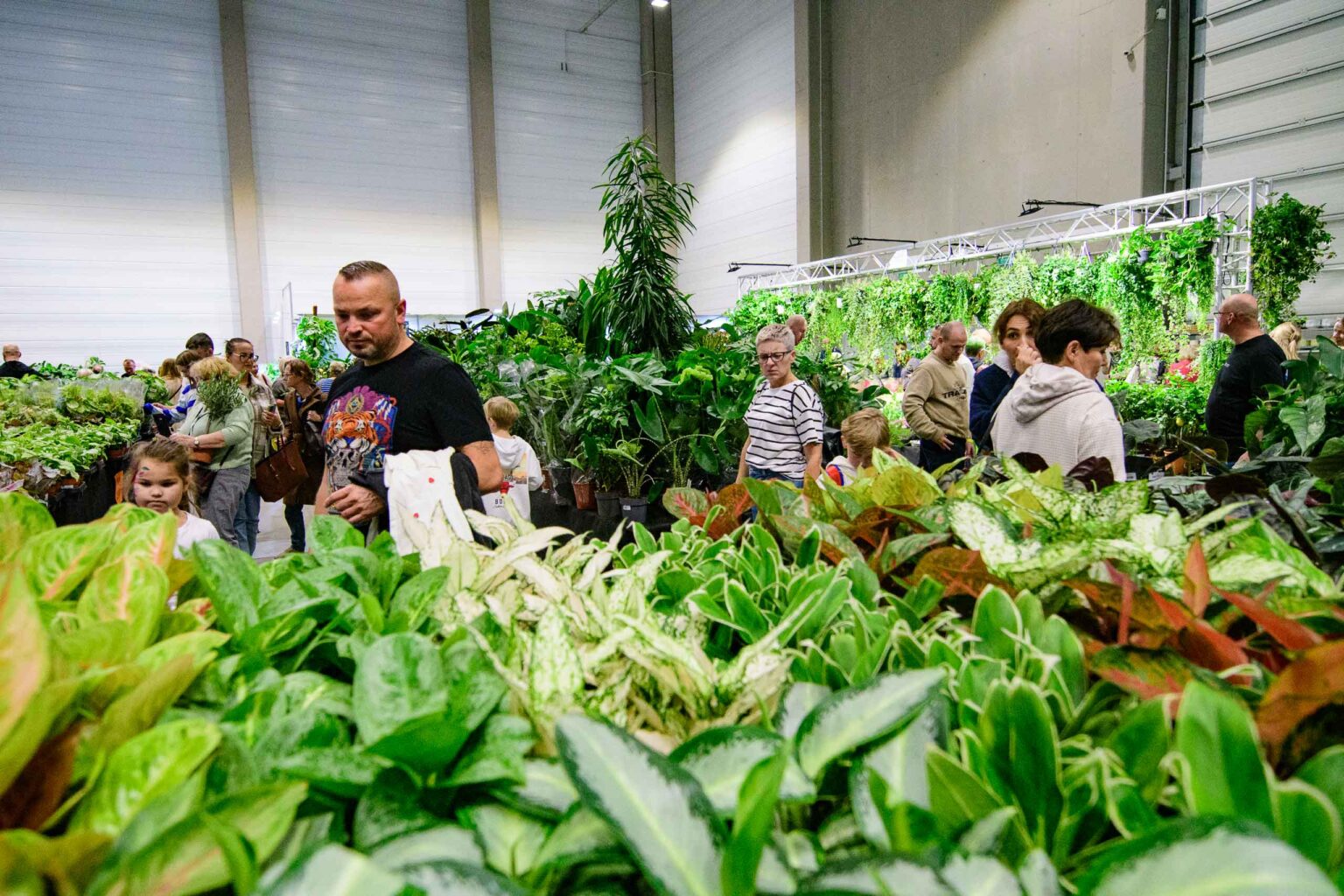 Festiwal roslin w hali EXPO Fot Sebastian Szwajkowski 7