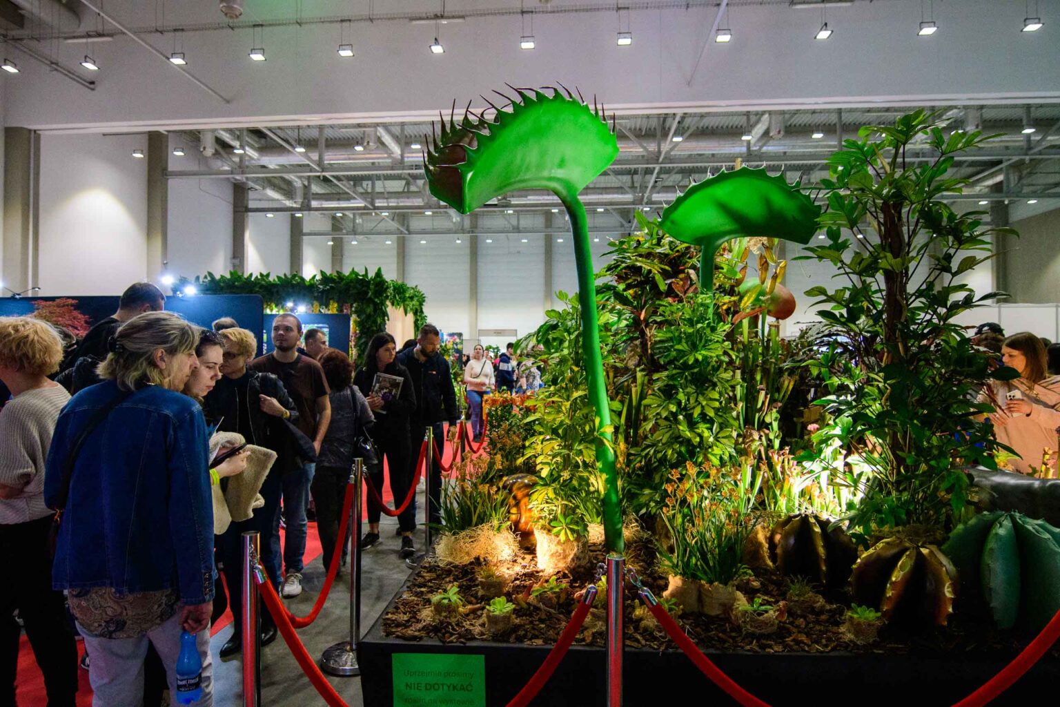 Festiwal roslin w hali EXPO Fot Sebastian Szwajkowski 9