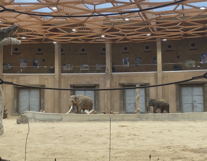 Pomoc w walce z ochroną przyrody. Projekt "ZOOpiekuj się mną" 1 Pomoc w walce z ochroną przyrody. Projekt "ZOOpiekuj się mną"