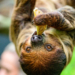 Rekordowy miesiąc łódzkiego ZOO. Prawie 200 tysięcy odwiedzających 6 Rekordowy miesiąc łódzkiego ZOO. Prawie 200 tysięcy odwiedzających