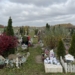 Łodzianie nie zapominają o swoich czworonożnych przyjaciołach. Cmentarz dla zwierząt w Łodzi ma już 25 lat 14 Łodzianie nie zapominają o swoich czworonożnych przyjaciołach. Cmentarz dla zwierząt w Łodzi ma już 25 lat