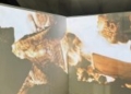 image00041 169x300 1