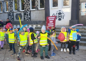 Przedszkole Miejskie nr 50 w Łodzi walczy o nowy plac zabaw