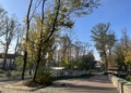 Park Miliona Świateł przy Orientarium w Łodzi. „Zwierzęta nie będą miały styczności z instalacjami świetlno-muzycznymi” 2 Park Miliona Świateł przy Orientarium w Łodzi