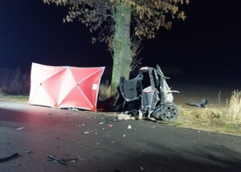Wypadek śmiertelny w miejscowości Chrząstówek