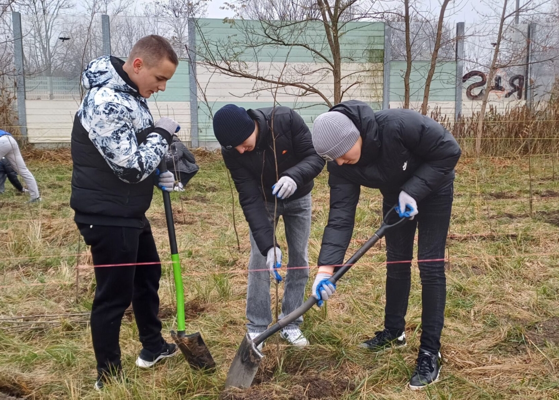 „Czas na Las” w Piotrkowie Trybunalskim. Zasadzili 1500 drzew 1 „Czas na Las” w Piotrkowie Trybunalskim. Zasadzili 1500 drzew