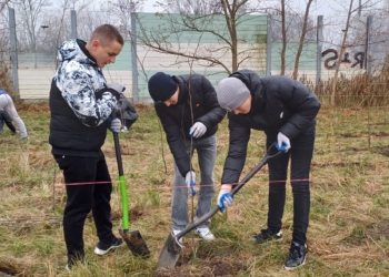 „Czas na Las” w Piotrkowie Trybunalskim. Zasadzili 1500 drzew