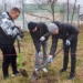 „Czas na Las” w Piotrkowie Trybunalskim. Zasadzili 1500 drzew 18 „Czas na Las” w Piotrkowie Trybunalskim. Zasadzili 1500 drzew