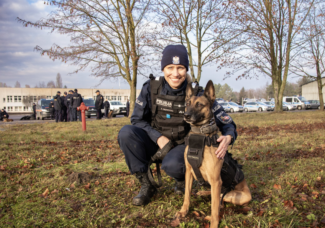 Wspólne szkolenie psów służbowych łódzkiej policji i Służby Ochrony Kolei 1 szkolenie psów
