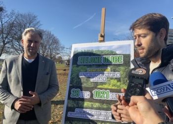 Więcej drzew w Łodzi