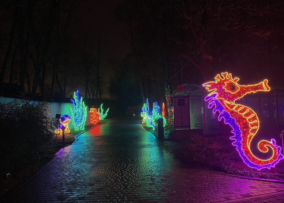Park Miliona Świateł zabłysnął w łódzkim Orientarium