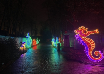 Park Miliona Świateł zabłysnął w łódzkim Orientarium