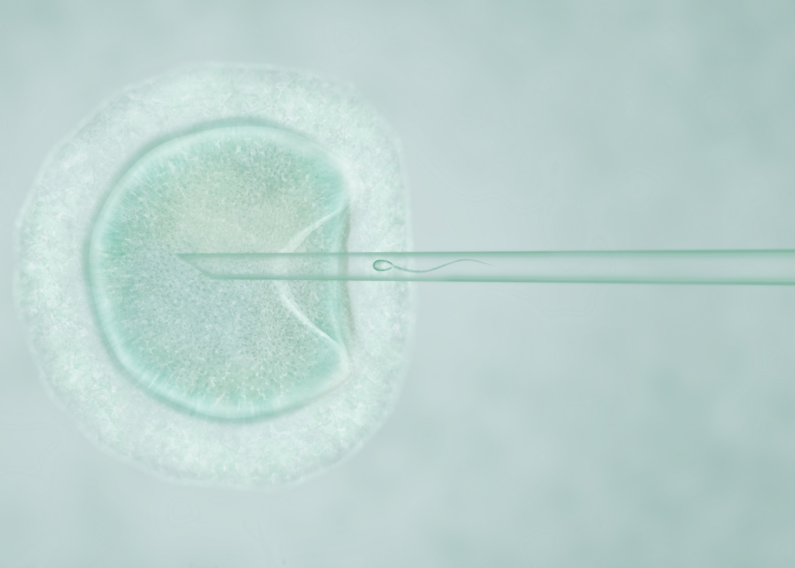 Łódź kończy program in vitro 1 in vitro