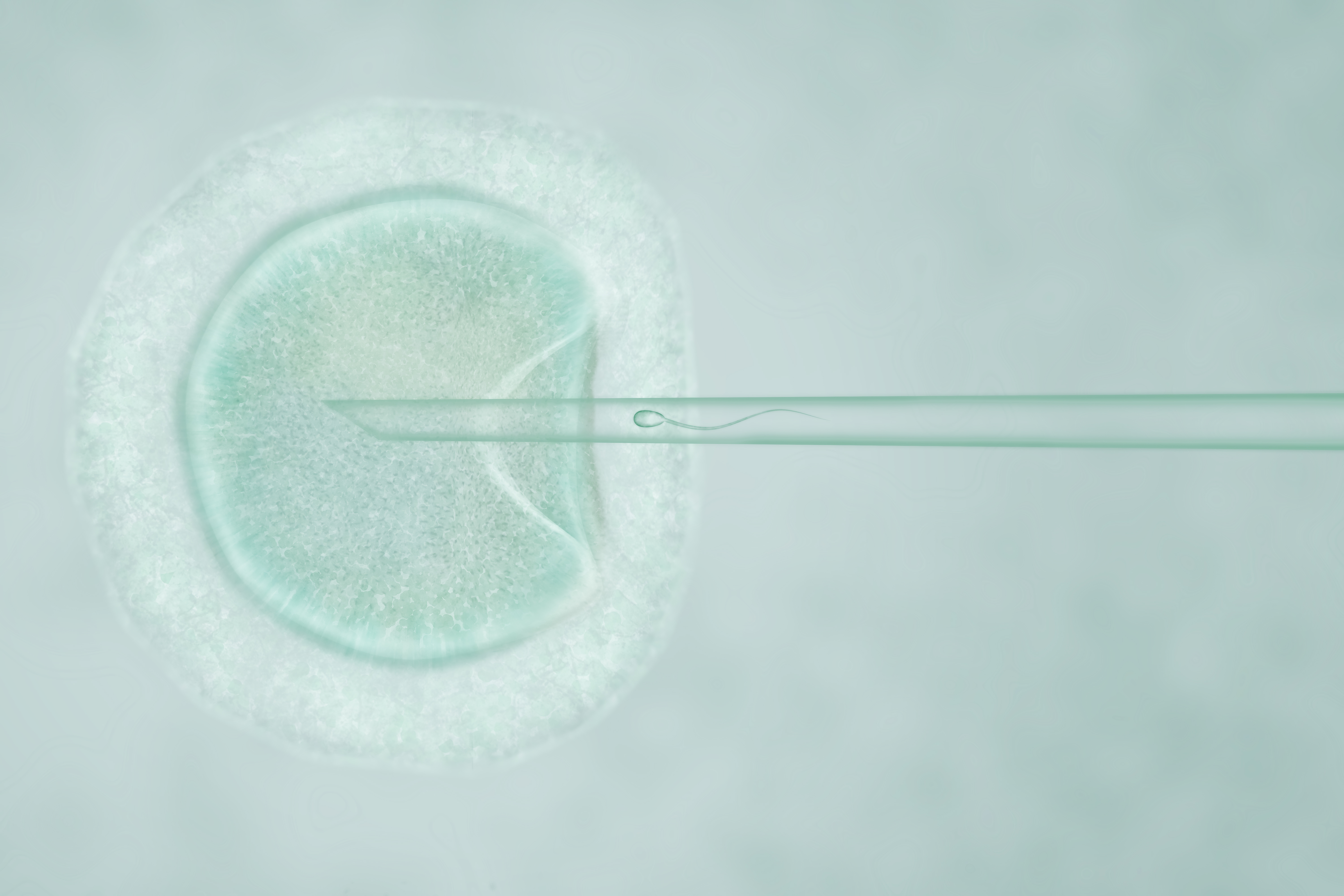 in vitro