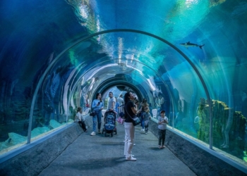 Zimowe półkolonie w Orientarium ZOO Łódź