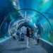 Zimowe półkolonie w Orientarium ZOO Łódź 10 Zimowe półkolonie w Orientarium ZOO Łódź