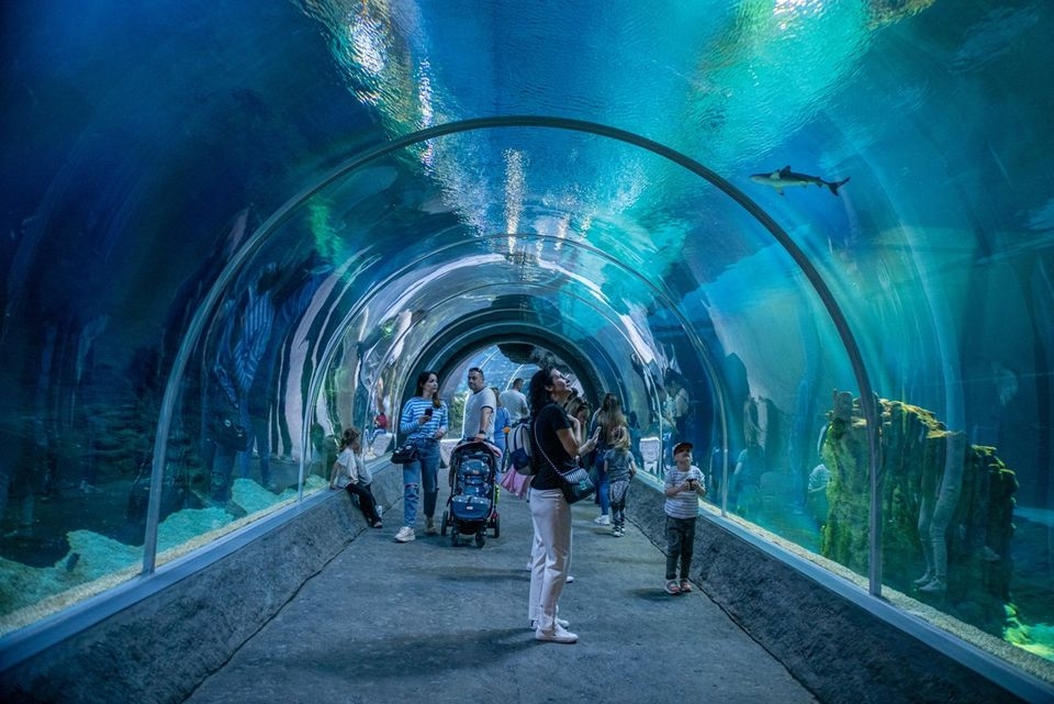 Zimowe półkolonie w Orientarium ZOO Łódź