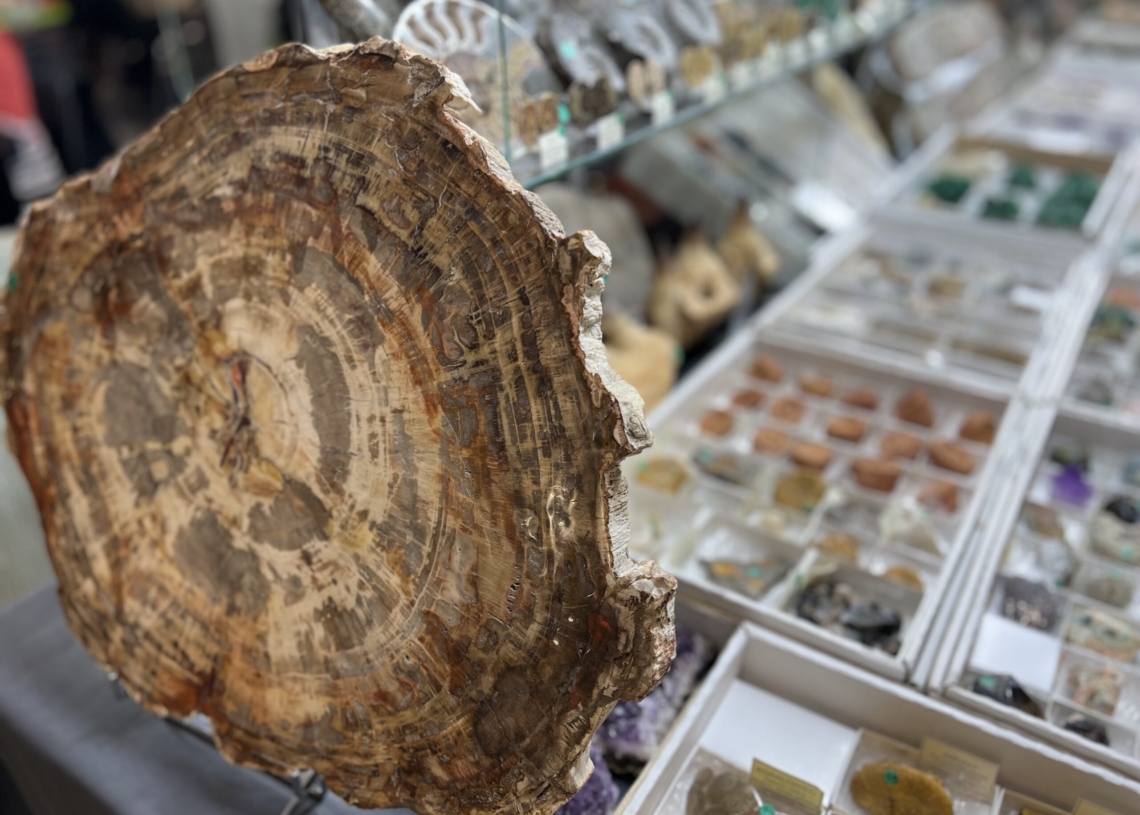 Targi kamieni i biżuterii "Interstone" w łódzkiej Hali EXPO