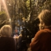 Palmiarnia w Łodzi otworzyła się... nocą 8 Palmiarnia w Łodzi