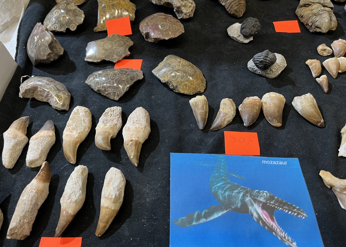 Targi kamieni i biżuterii "Interstone" w łódzkiej Hali EXPO