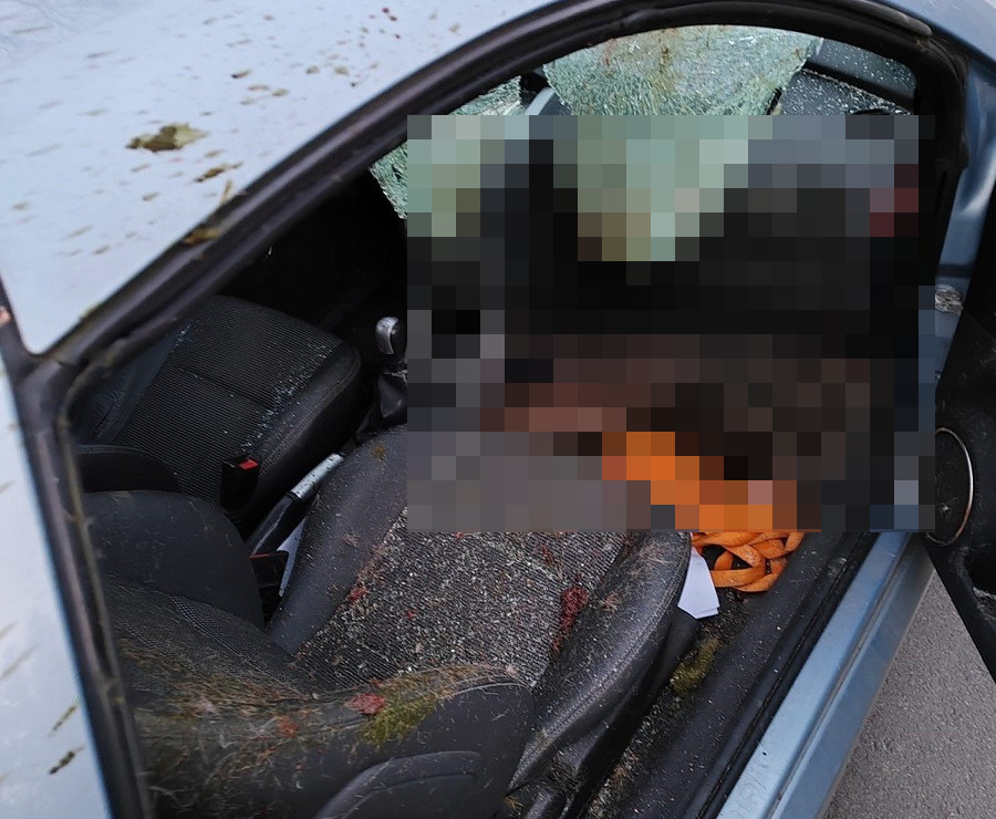 Łódzkie: potrącona sarna wpadła przez szybę do innego samochodu 1 Łódzkie: potrącona sarna wpadła przez szybę do innego samochodu