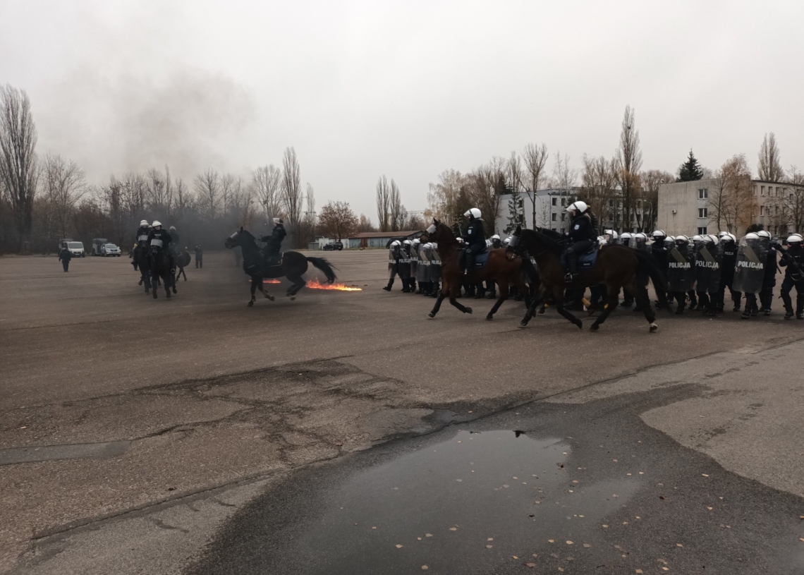 Konie służbowe z Łodzi i Tomaszowa Mazowieckiego przeszły specjalne szkolenie. Będą pomagać między innymi w patrolach