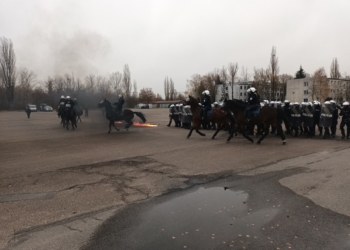 Konie służbowe z Łodzi i Tomaszowa Mazowieckiego przeszły specjalne szkolenie. Będą pomagać między innymi w patrolach