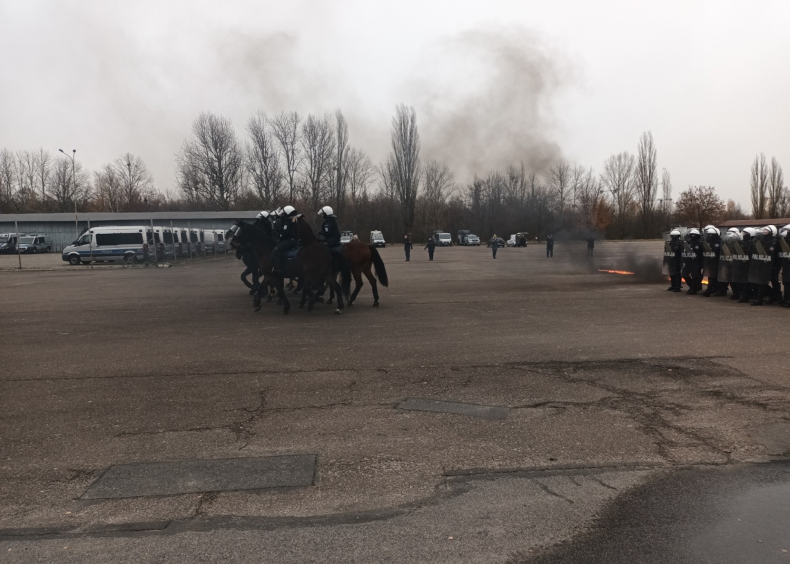 Konie służbowe z Łodzi i Tomaszowa Mazowieckiego przeszły specjalne szkolenie. Będą pomagać między innymi w patrolach