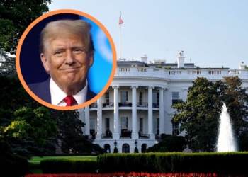 Wybory w USA. Donald Trump ogłasza zwycięstwo