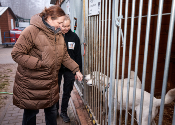 Karma dla zwierząt ze schronisk. Świąteczny prezent od województwa