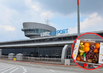 Tajemnicza paczka na łódzkim lotnisku. Interweniowała straż pożarna i saperzy