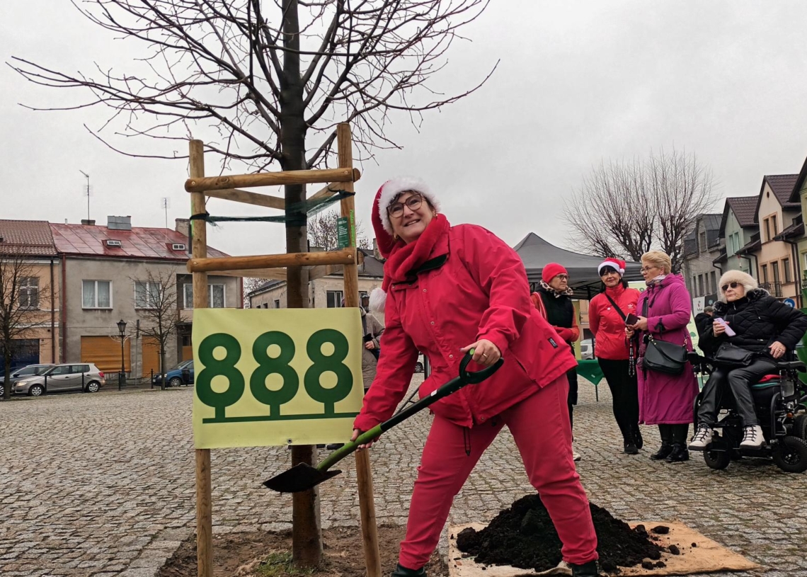 Akcja 888 drzew na 888-lecie Łowicza zakończona