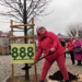 Akcja 888 drzew na 888-lecie Łowicza zakończona 9 Akcja 888 drzew na 888-lecie Łowicza zakończona