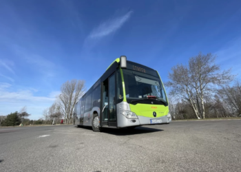 Kierowca zgierskiego autobusu miał jednocześnie prowadzić pojazd i używać telefonu