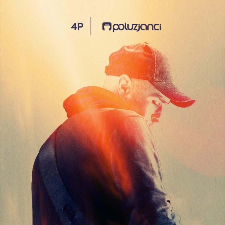 Poluzjanci plyta n