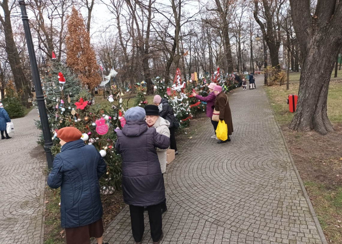 Mieszkańcy Aleksandrowa Łódzkiego wspólnie ubrali kilkadziesiąt choinek