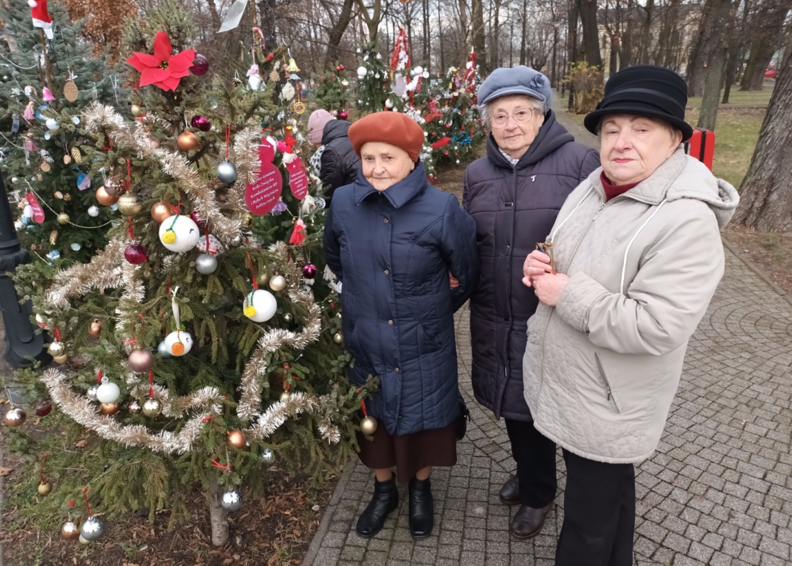 Mieszkańcy Aleksandrowa Łódzkiego wspólnie ubrali kilkadziesiąt choinek