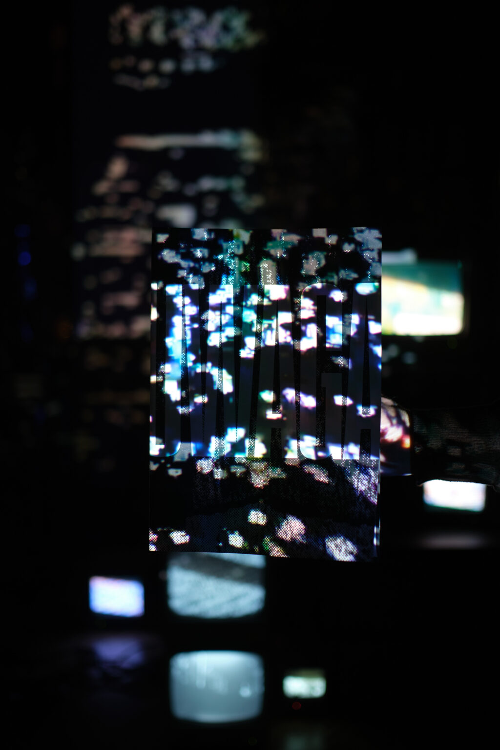 DSCF0827