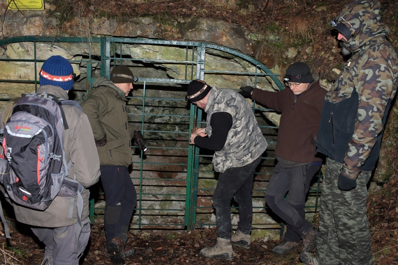 Liczenie hiberujących nietoperzy. W Załączańskim Parku Krajobrazowym jest ich zdecydowanie mniej