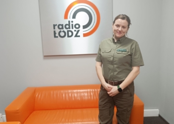 Im dalej w las. Gospodarka leśna