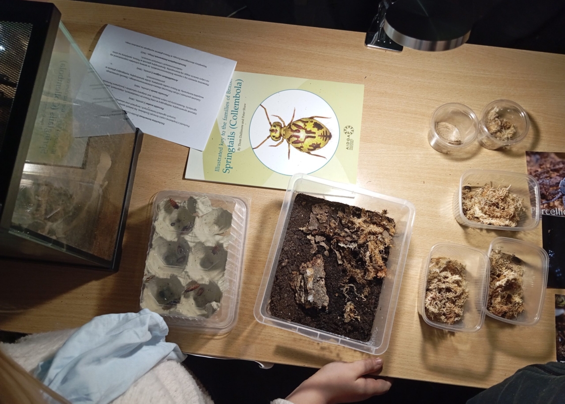 Noc Biologów. Wiedza i zabawa dla wszystkich ciekawych świata [ZDJĘCIA]