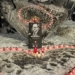 Szósta rocznica śmierci Pawła Adamowicza. Łódzki KOD upamiętnił prezydenta Gdańska 6 Szósta rocznica śmierci Pawła Adamowicza. Łódzki KOD upamiętnił prezydenta Gdańska