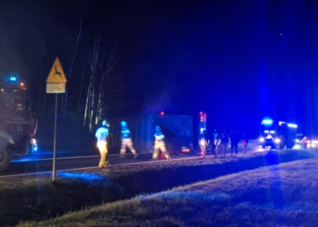 Groźny wypadek na DK70. Przewrócony tir z trzodą chlewną