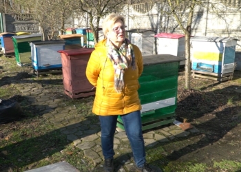 Złodzieje okradli pasiekę w gminie Bolesławiec. Mieszkańcy podejrzewają, że to nie był przypadek