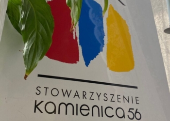 To jest temat. Organizacje pozarządowe. Większy ma lepiej
